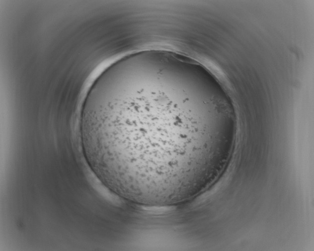 X0000114071200200910191515