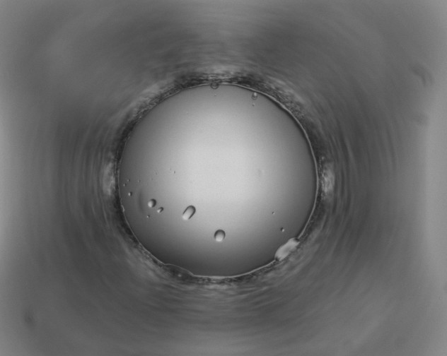 X0000114071204200910191515