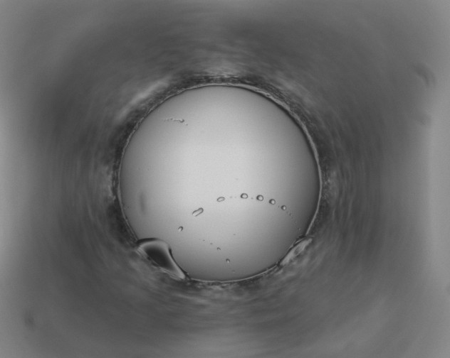 X0000114071205200910191515