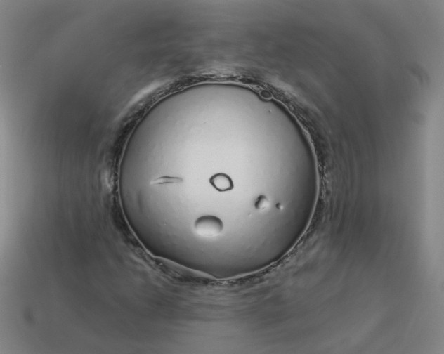 X0000114071206200910191515