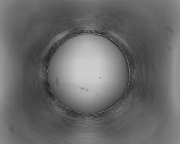 X0000114071207200910191515