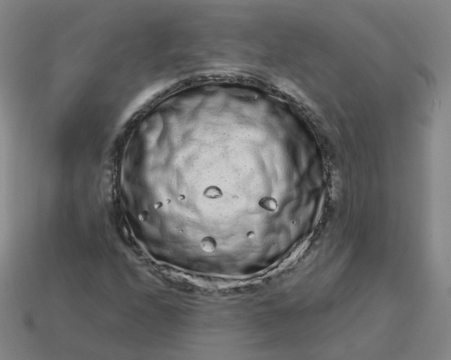 X0000114071208200910191515