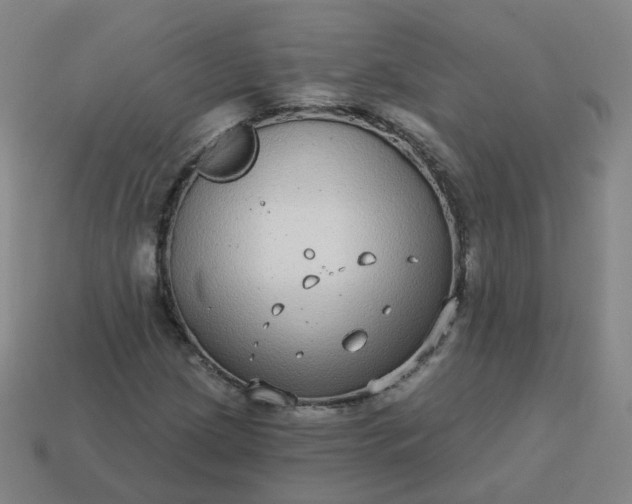 X0000114071209200910191515