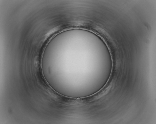 X0000114071210200910191515