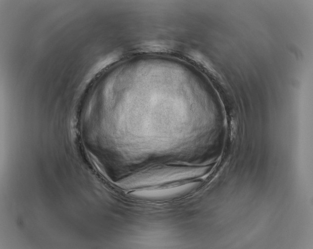 X0000114071213200910191515