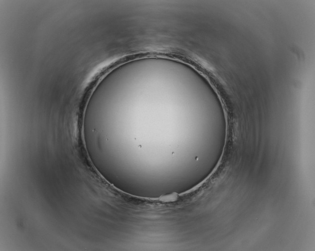 X0000114071214200910191515