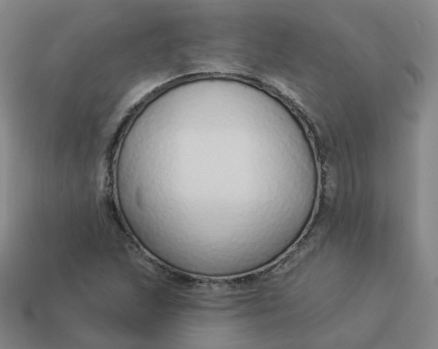 X0000114071215200910191515