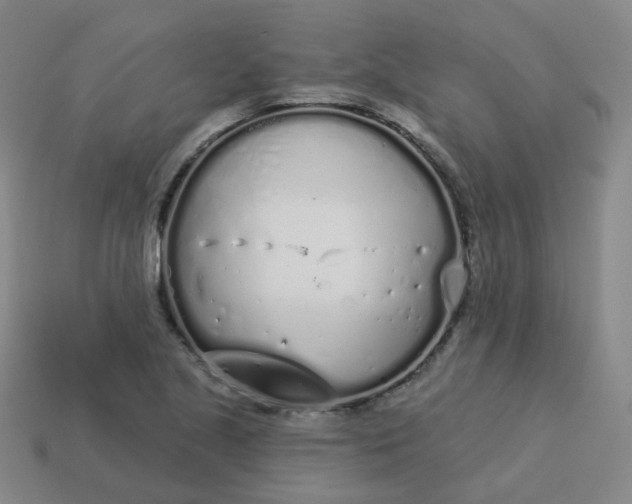 X0000114071221200910191515