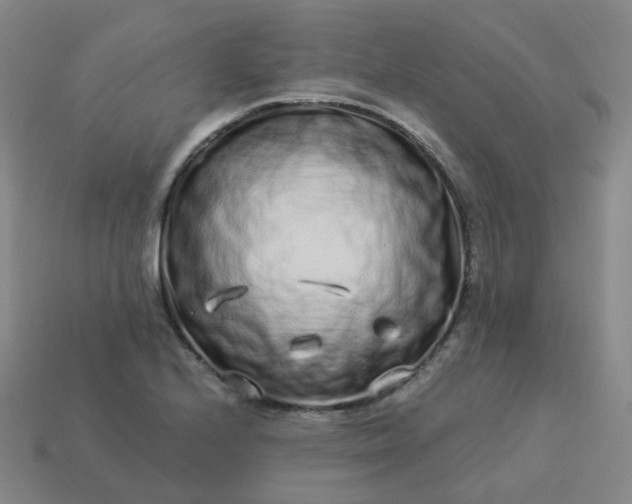 X0000114071224200910191515