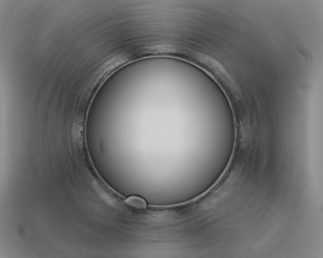 X0000114071225200910191515