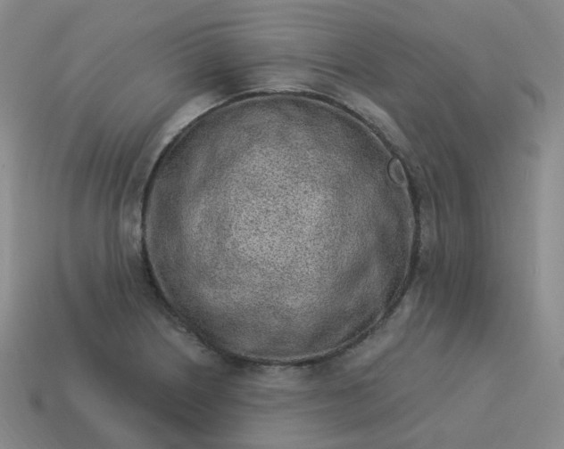 X0000114071226200910191515