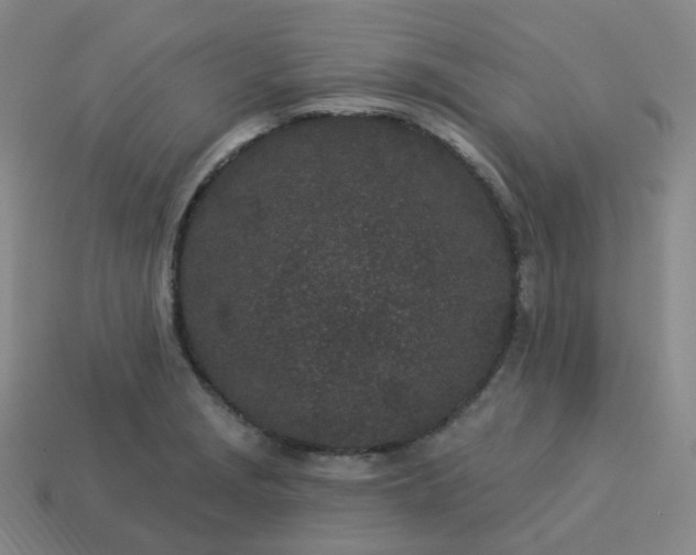 X0000114071229200910191515