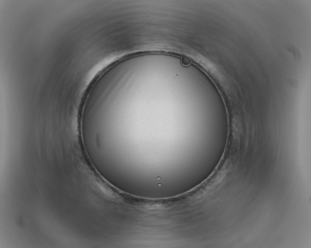 X0000114071230200910191515