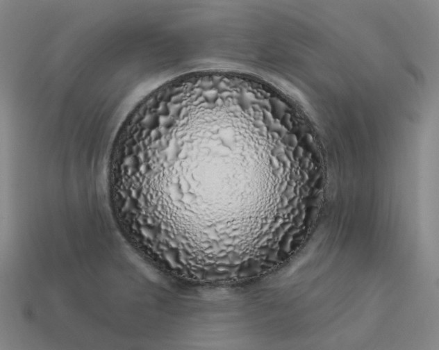 X0000114071231200910191515