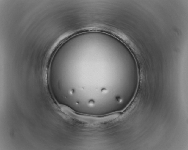 X0000114071232200910191515