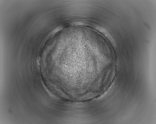 X0000114071233200910191515