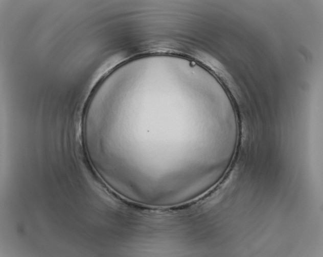 X0000114071234200910191515