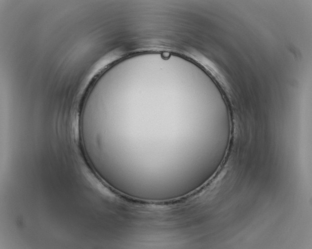 X0000114071238200910191515