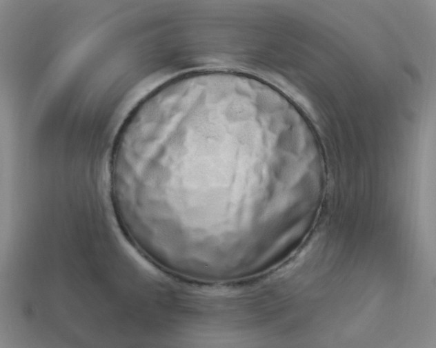 X0000114071239200910191515