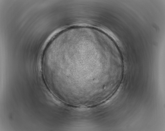 X0000114071240200910191515