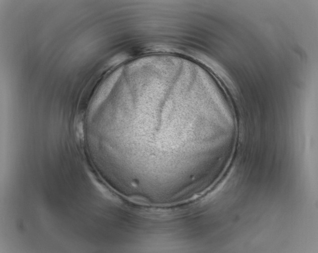 X0000114071241200910191515