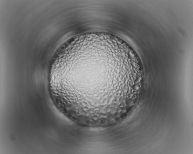 X0000114071243200910191515