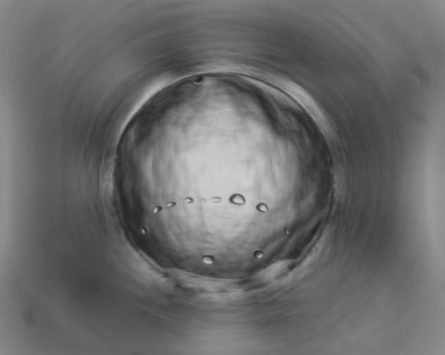 X0000114071244200910191515