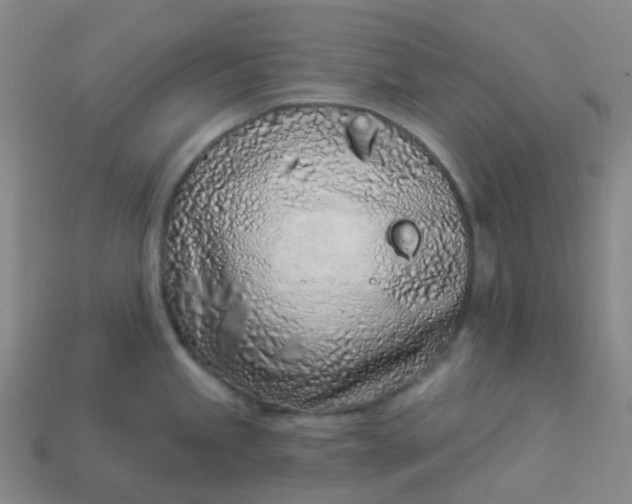 X0000114071245200910191515