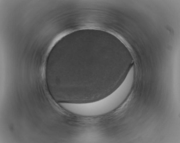 X0000114071246200910191515