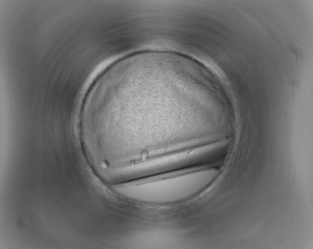 X0000114071248200910191515