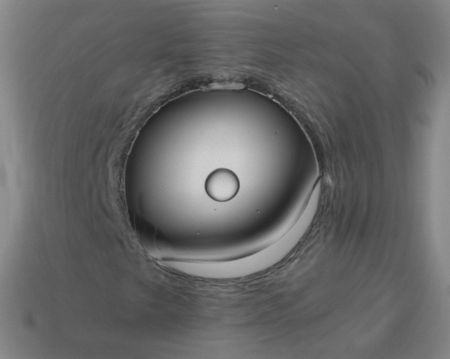 X0000114071249200910191514