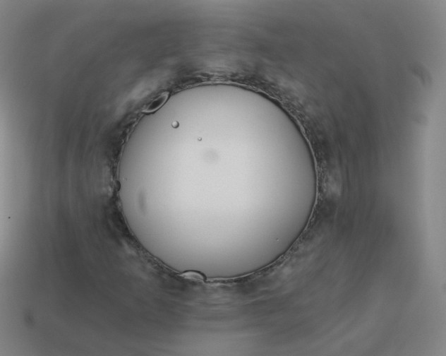 X0000114071253200910191514