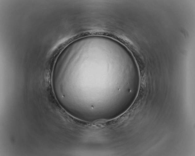 X0000114071255200910191514