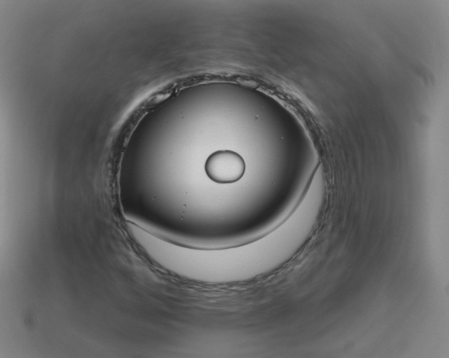 X0000114071256200910191514