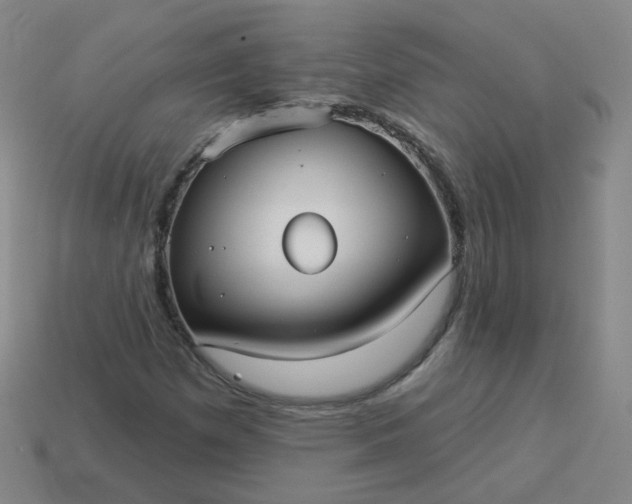 X0000114071257200910191514