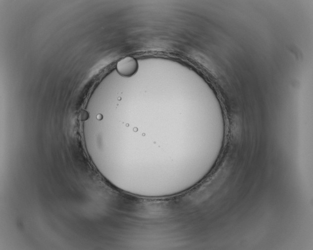 X0000114071258200910191514