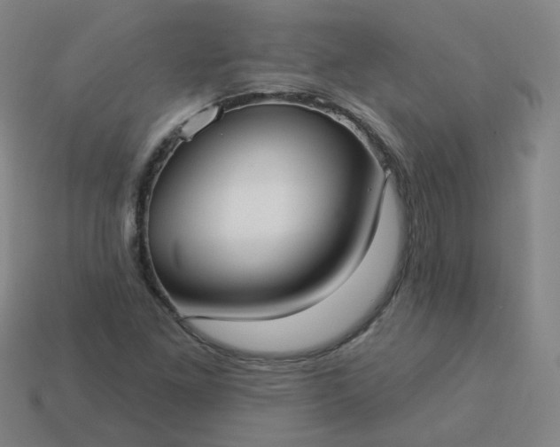 X0000114071261200910191514