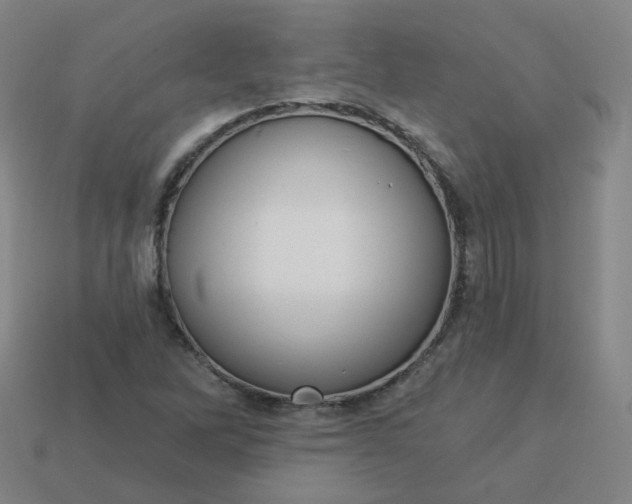 X0000114071262200910191514