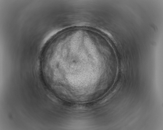 X0000114071263200910191514