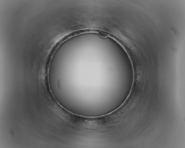 X0000114071264200910191514