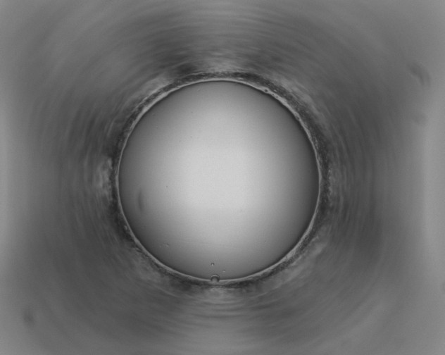 X0000114071265200910191514