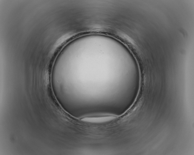 X0000114071267200910191514