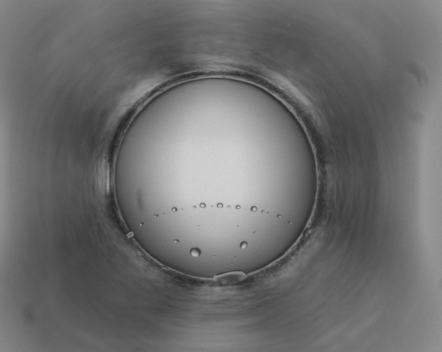 X0000114071269200910191514