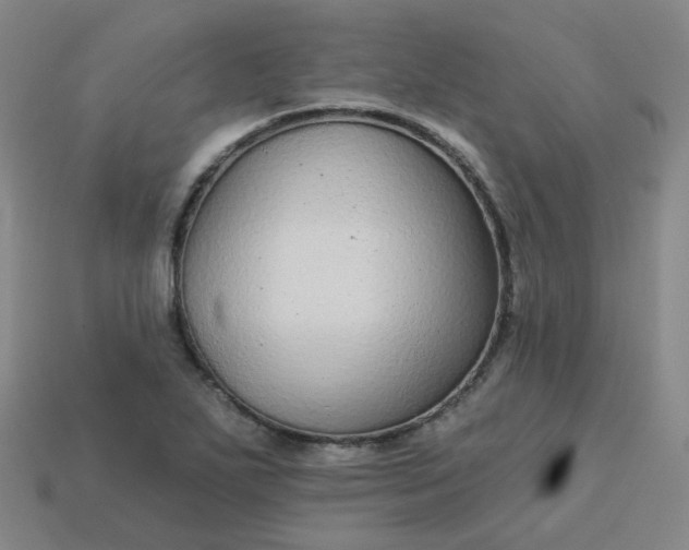 X0000114071271200910191514