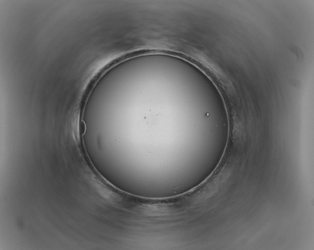 X0000114071272200910191514