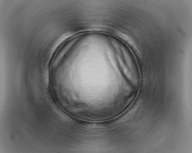 X0000114071275200910191514