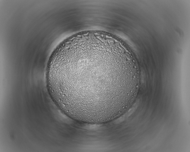 X0000114071278200910191514