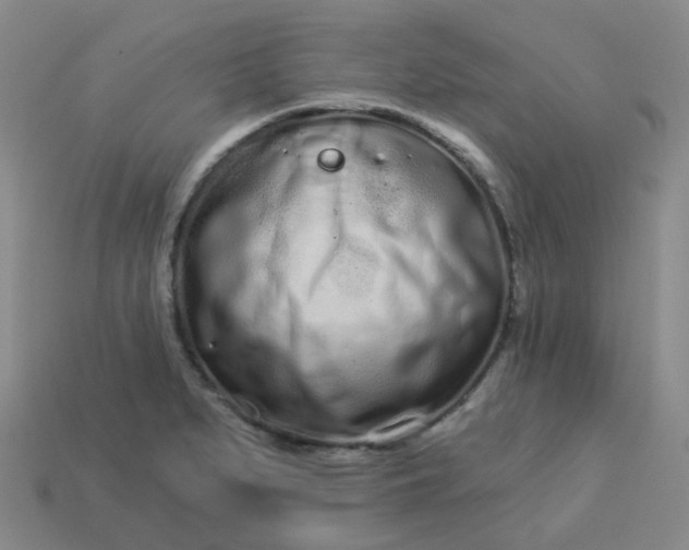 X0000114071279200910191514