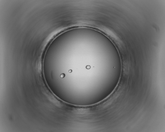 X0000114071280200910191514