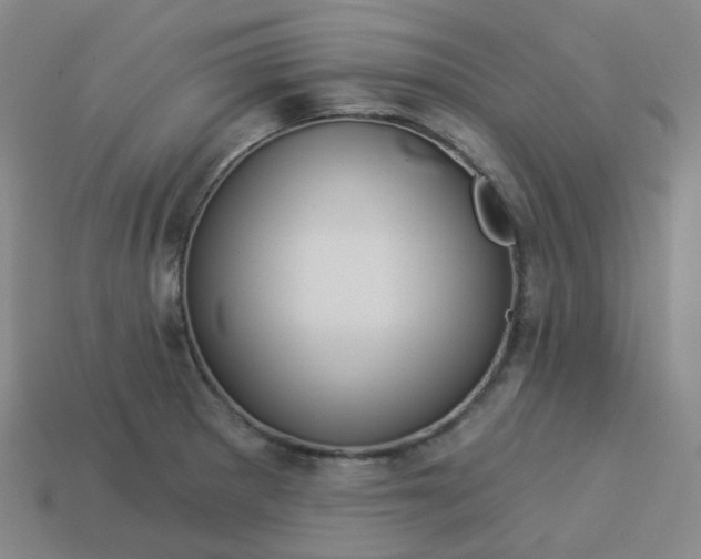 X0000114071281200910191514